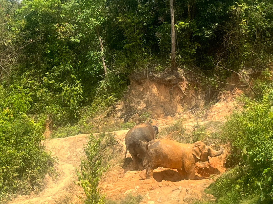 Chang Chill-Mae Win必去景点