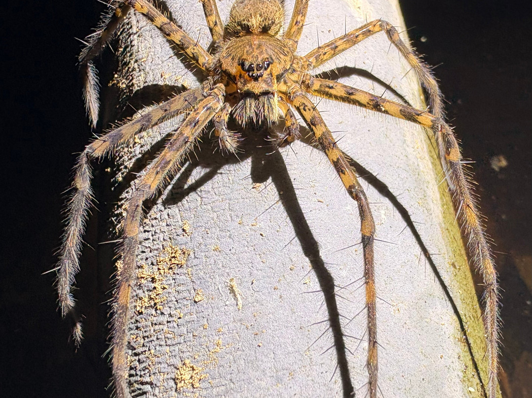 Sukia Travel-德雷克湾必去景点