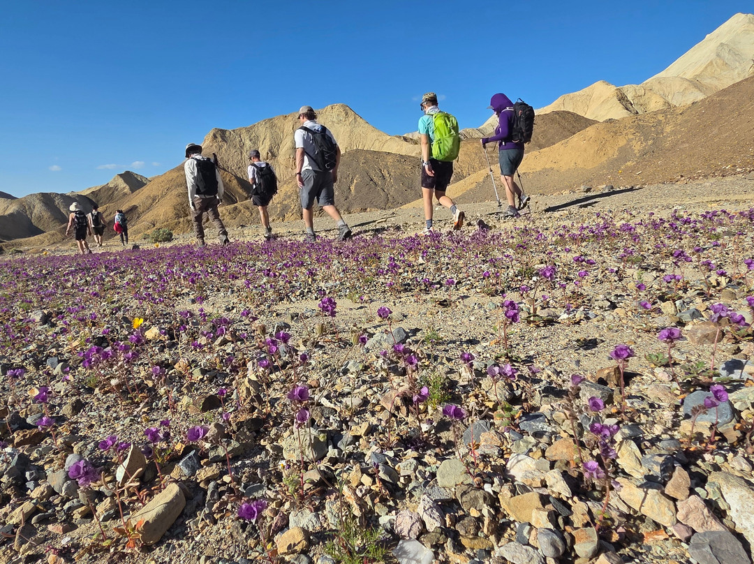 Mountain Travel Sobek-埃默里维尔必去景点
