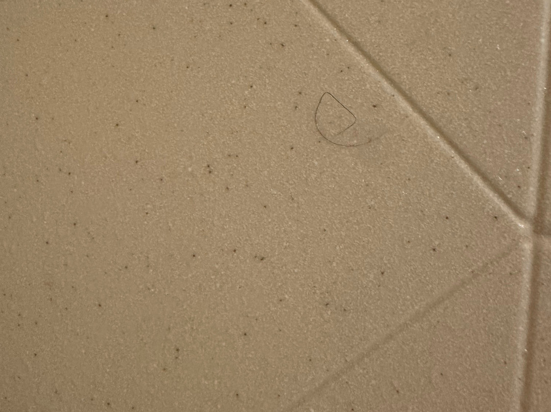 韦斯特福德切姆斯福德欢朋套房酒店主图