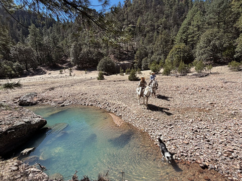 Creel Paseos A Caballo Vaquero-Creel必去景点