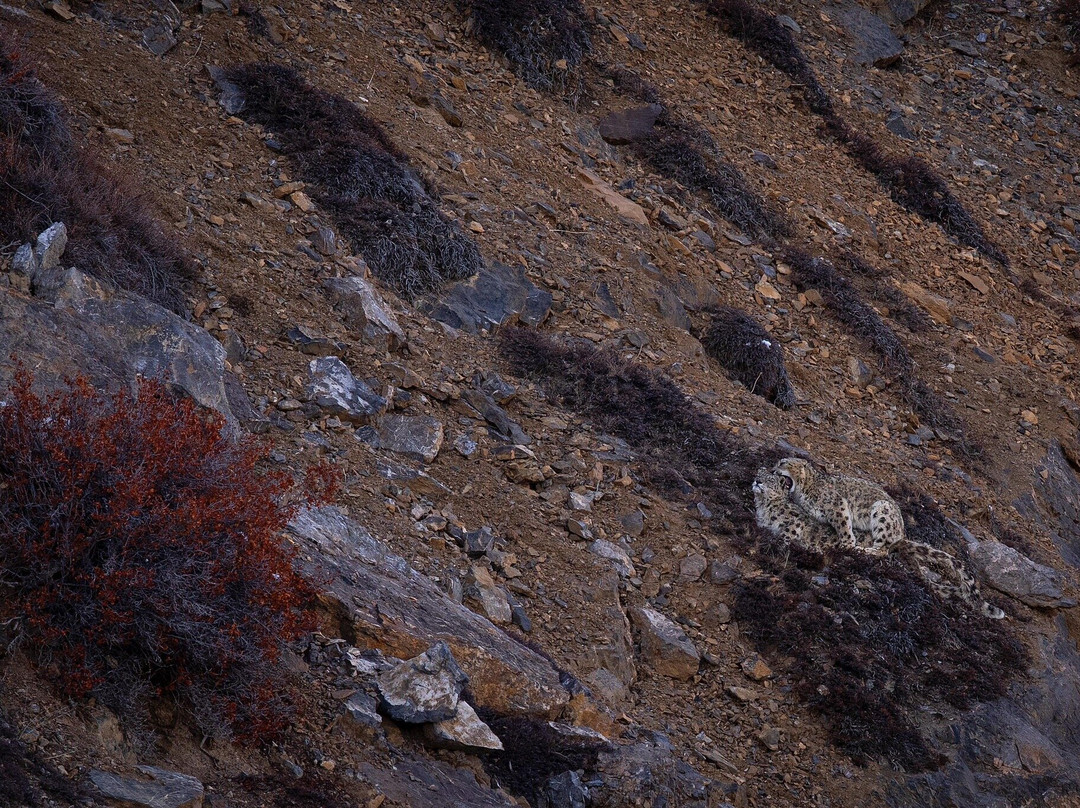 Nature Wanderers-Ramnagar必去景点