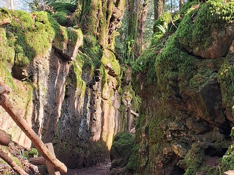 Puzzlewood-Coleford必去景点