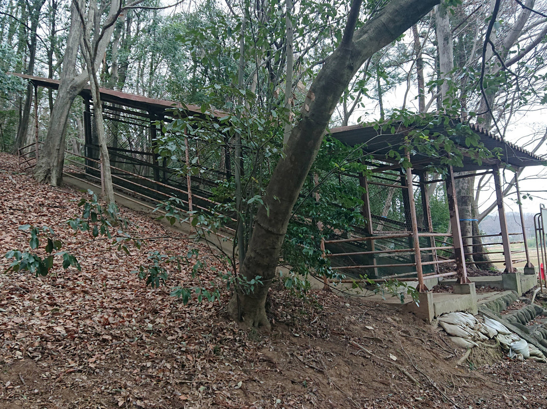 Remains of Oya Kawakara-东松山市必去景点