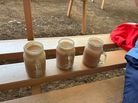 Tree Chocolate Tour-Upala必去景点