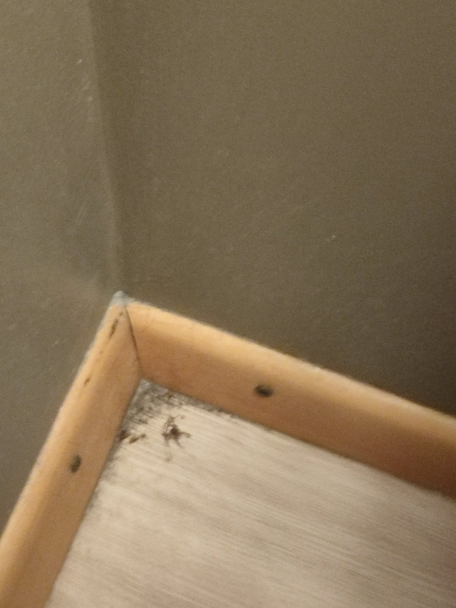 海斯埃玛尔酒店-官方