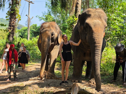 Krabi Elephant Sanctuary-甲米必去景点