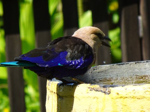 里欧海滩休闲酒店及餐厅 - 限成人入住主图