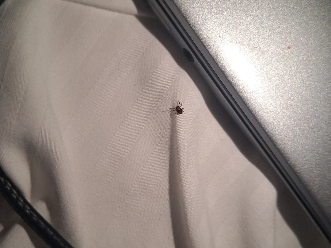 圣塔克拉里塔拉昆塔温德姆套房酒店主图