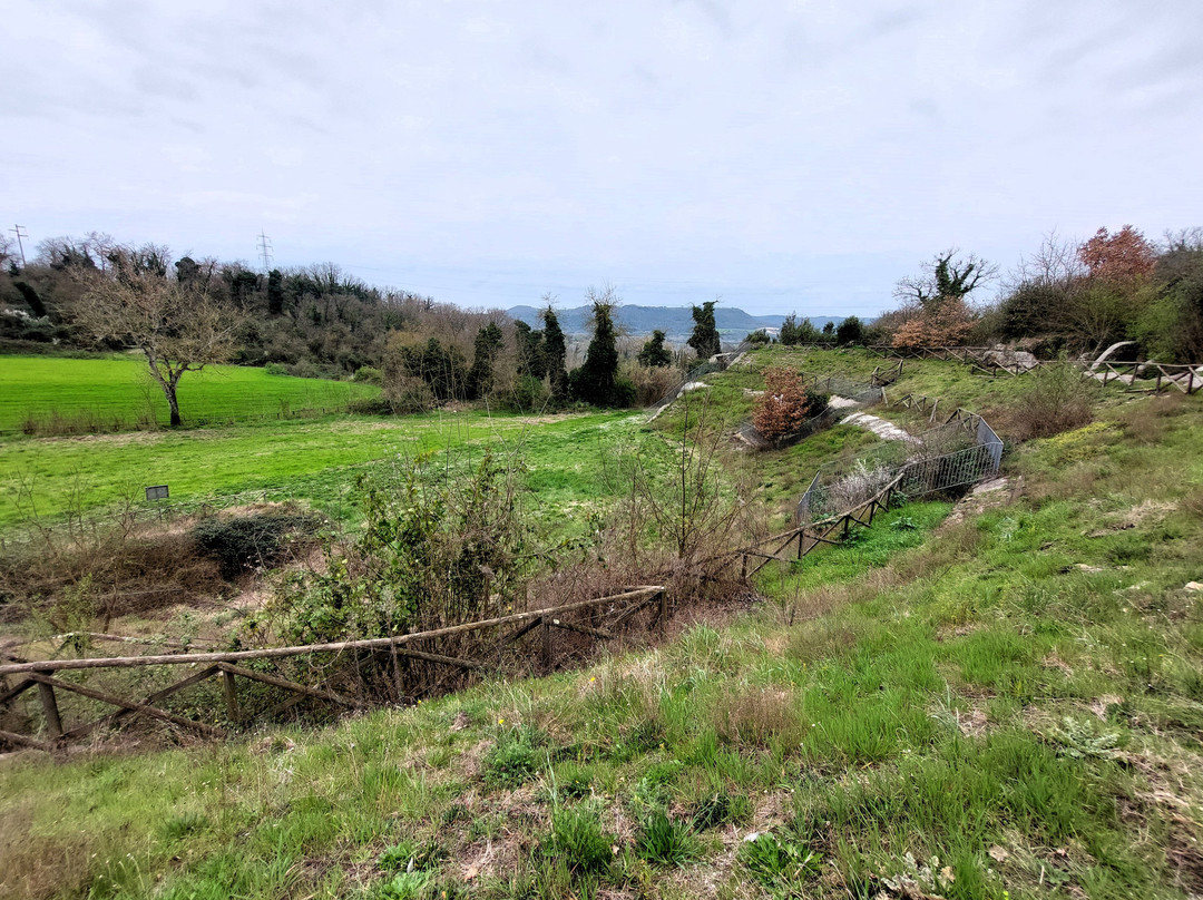 Parco Archeologico Di Otricoli-Otricoli必去景点