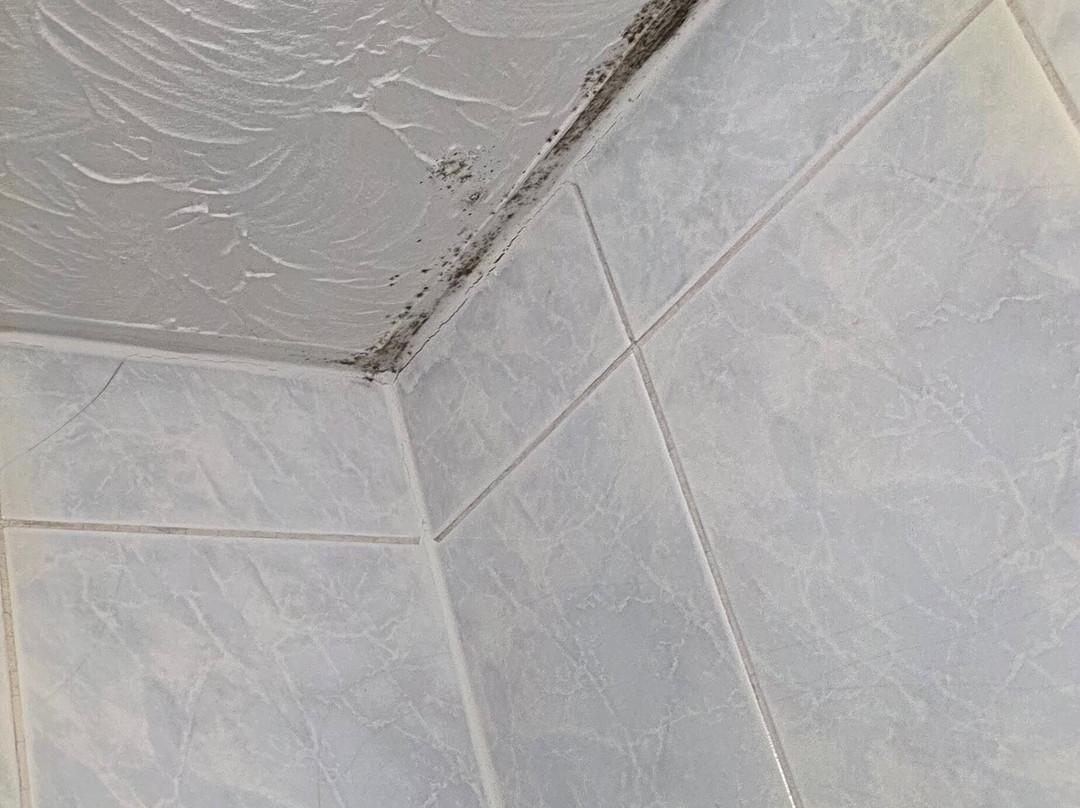 酿酒师山林小屋主图