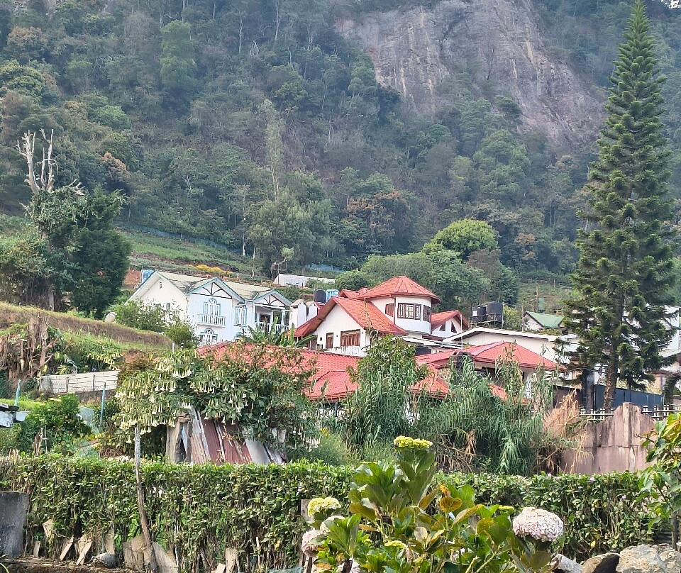 USP Lanka Tours-科伦坡必去景点