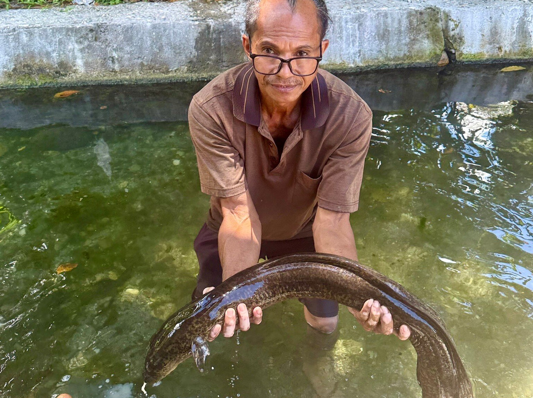 Sacred Eels of Waai-安汶必去景点