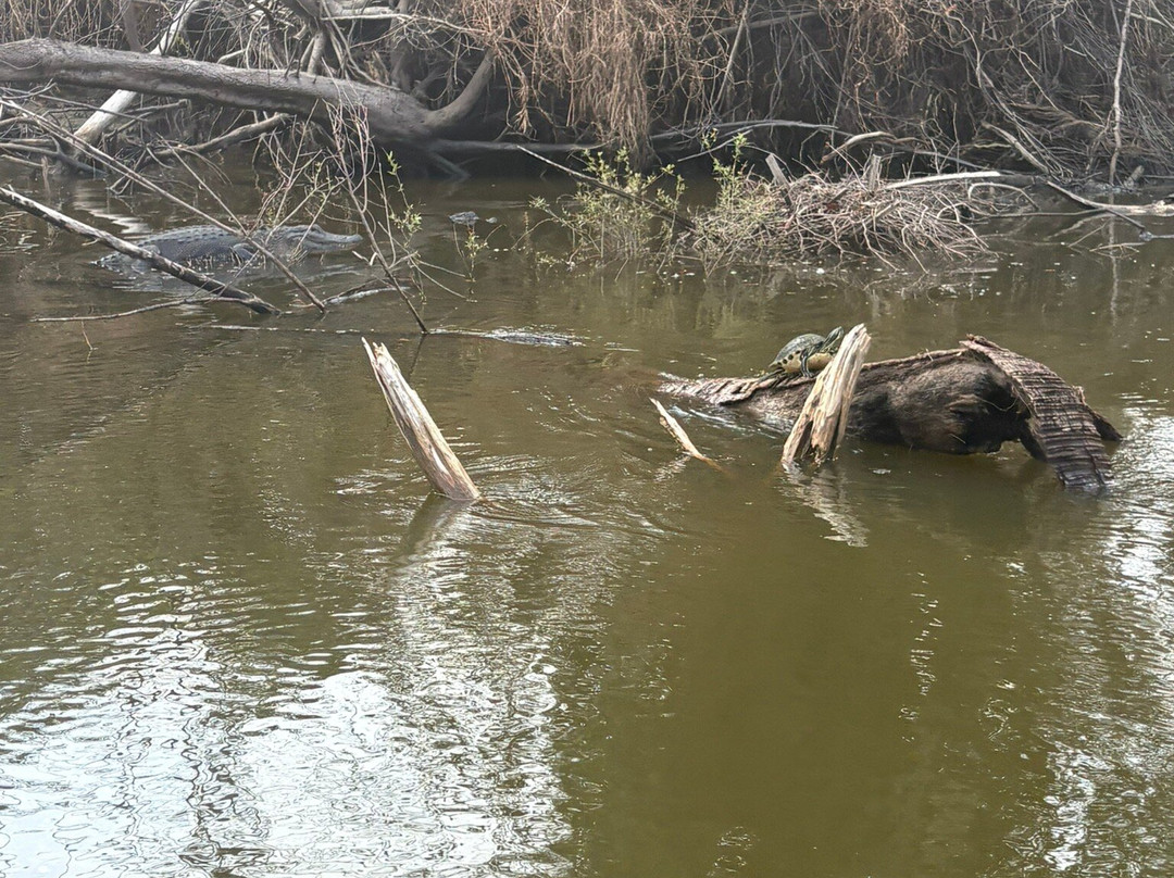 Peace River Charters-阿卡迪亚必去景点