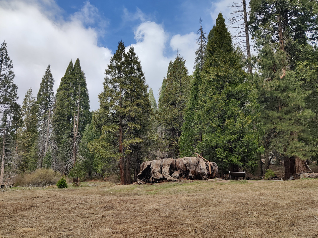 Big Stump Basin-红杉&国王峡谷国家公园必去景点