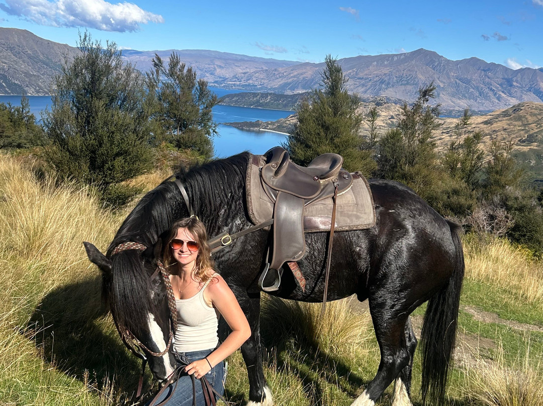 Wanaka Horse Trekking-瓦纳卡必去景点
