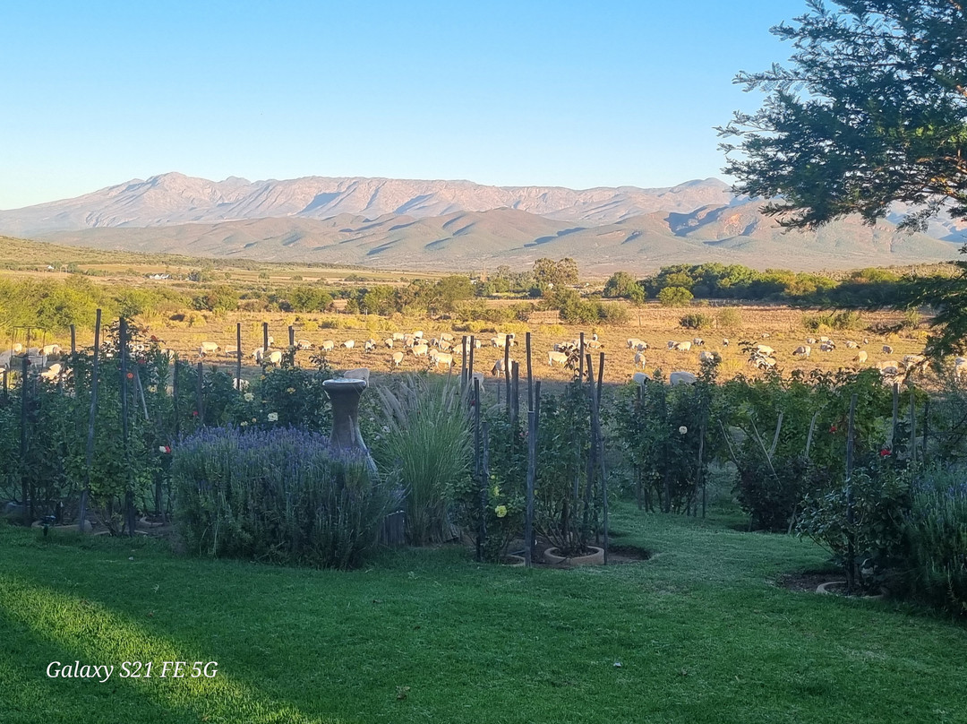 Kranskop B & B