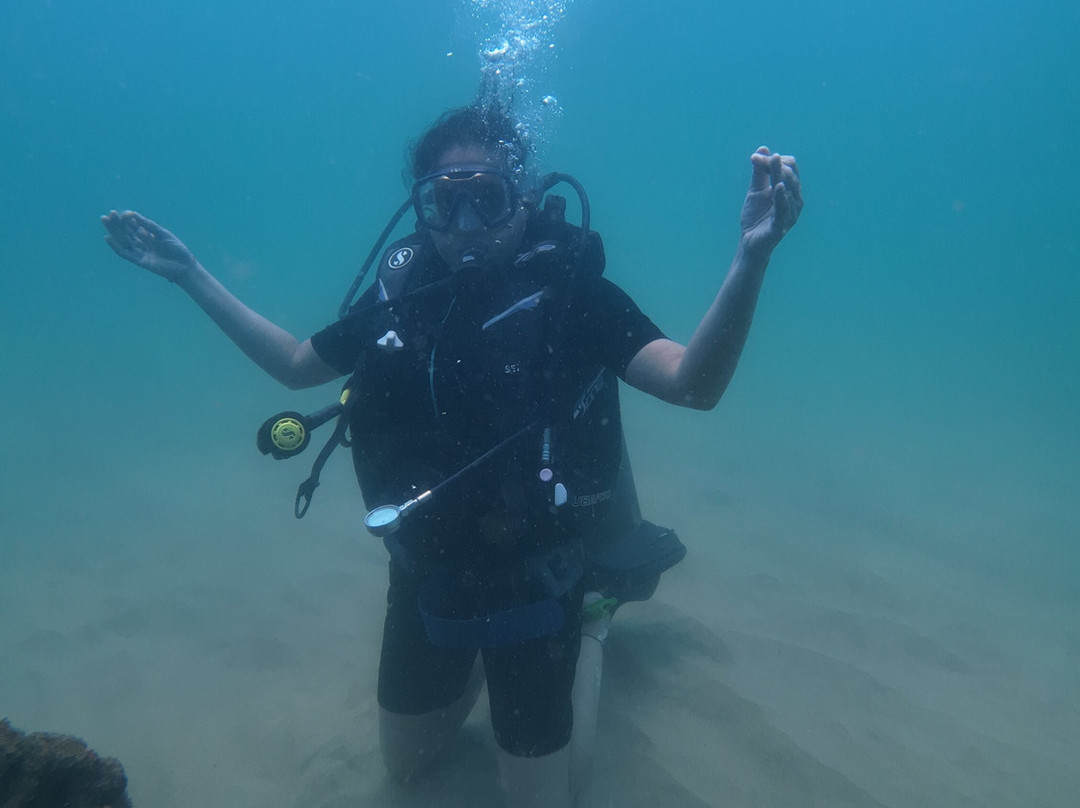 Scuba Evolution India-安朱纳必去景点