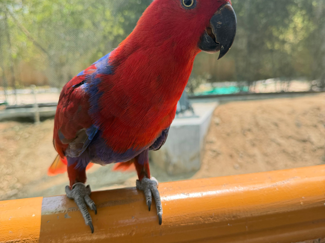 Trichy Birds Park-Tiruchirappalli District必去景点