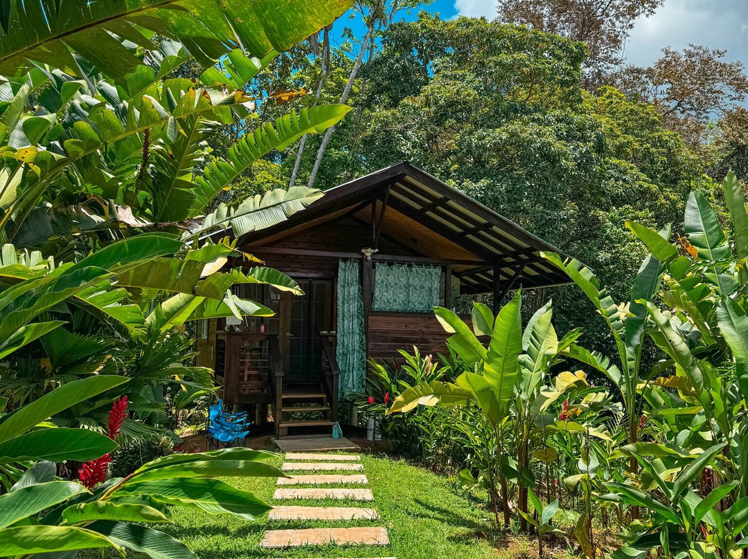 La Tierra Del Encanto-Isla Bastimentos必去景点
