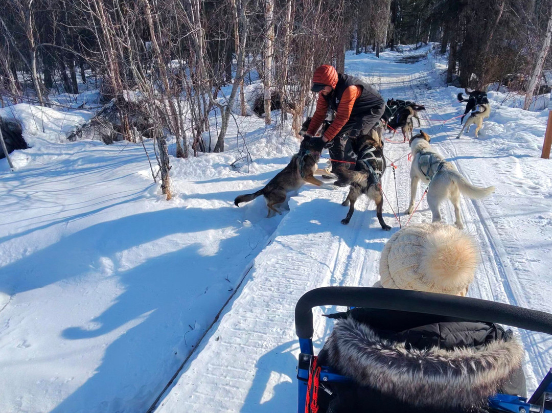 Snowhook Adventure Guides of Alaska-Willow必去景点