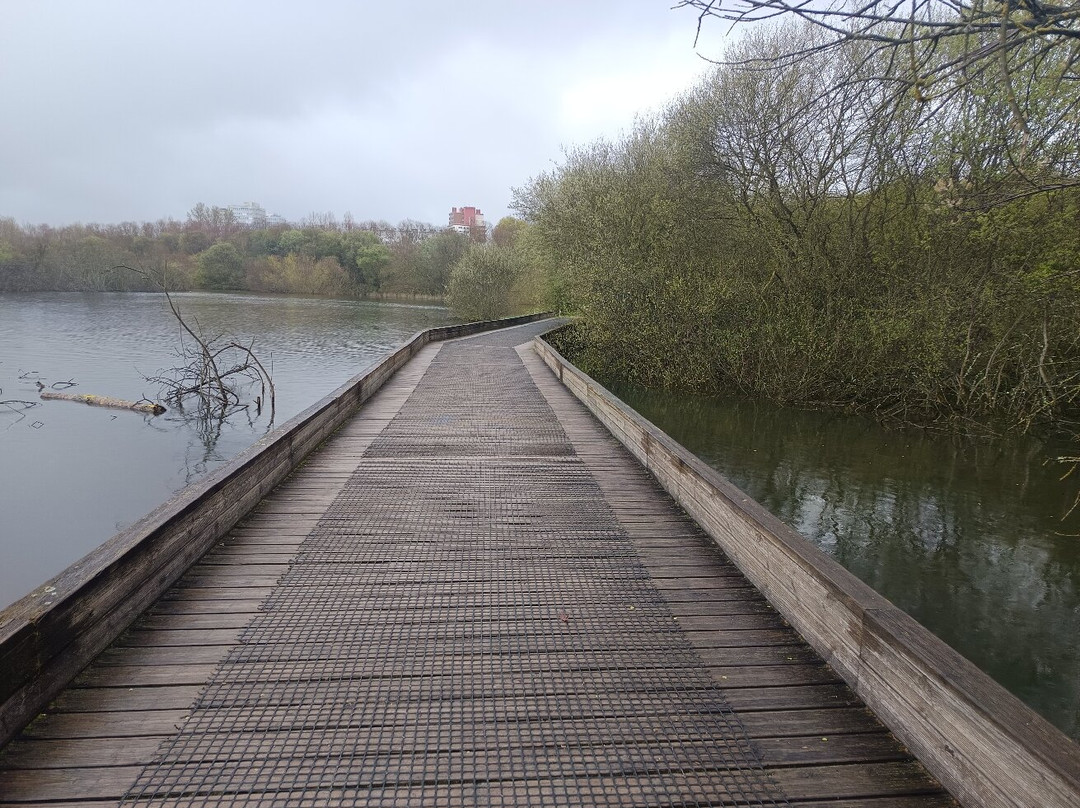 Parque Salburua-维多利亚必去景点