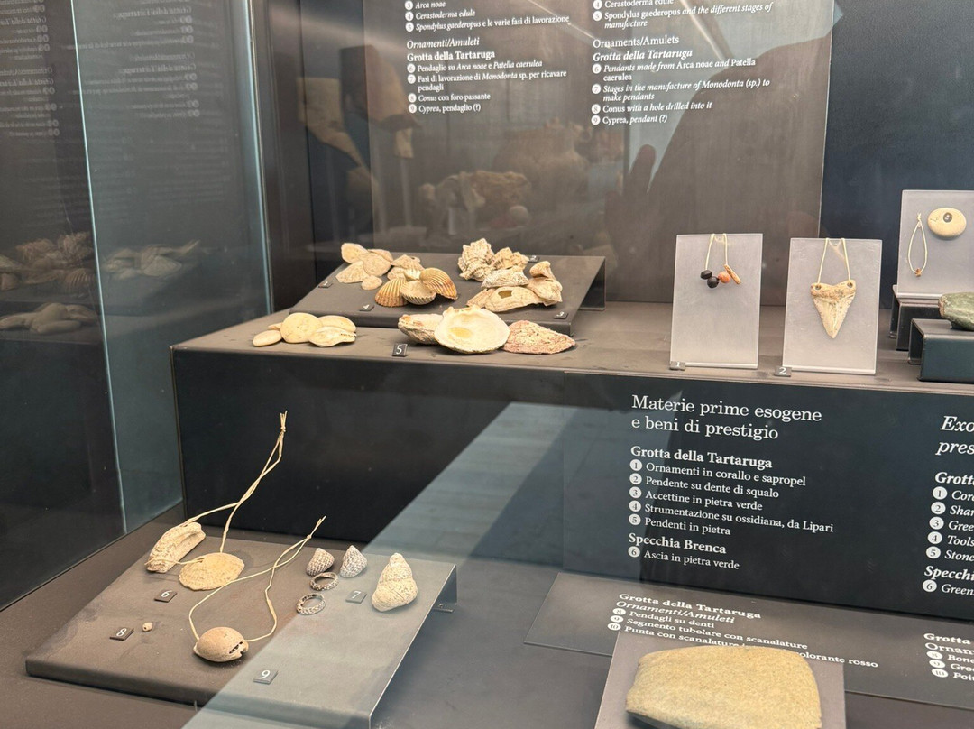 Museo Archeologico di Santa Scolastica-巴里必去景点