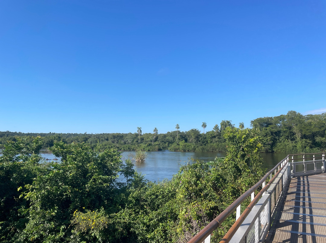 Iguazu Jungle-伊瓜苏港必去景点