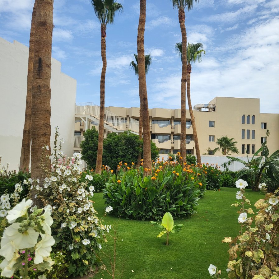 Amarina Abu Soma Resort & Aquapark-官方