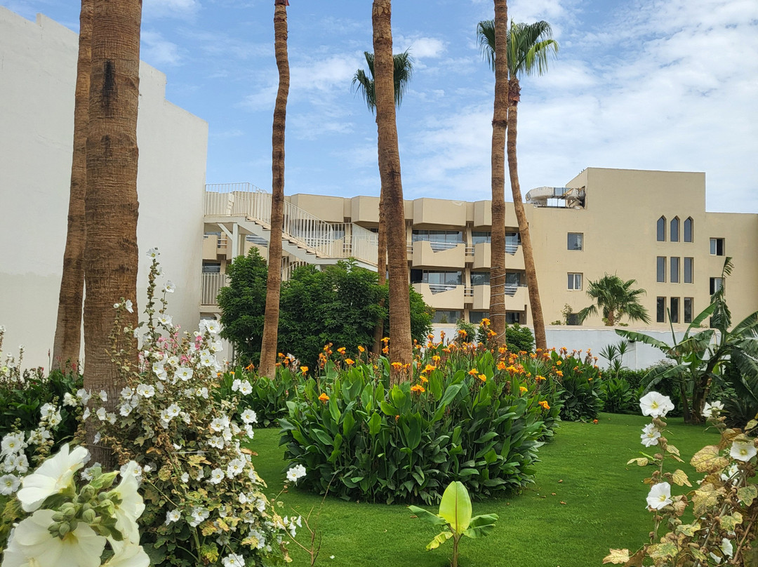 Amarina Abu Soma Resort & Aquapark主图
