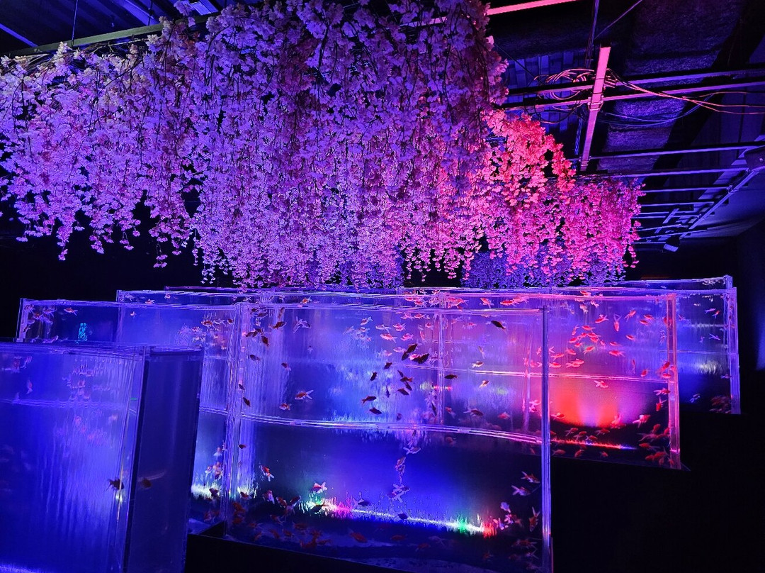 Art Aquarium-Ginza必去景点