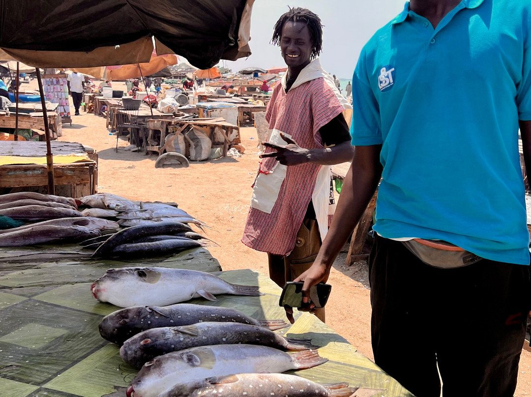 DST Travels Sénégal-Nianing必去景点