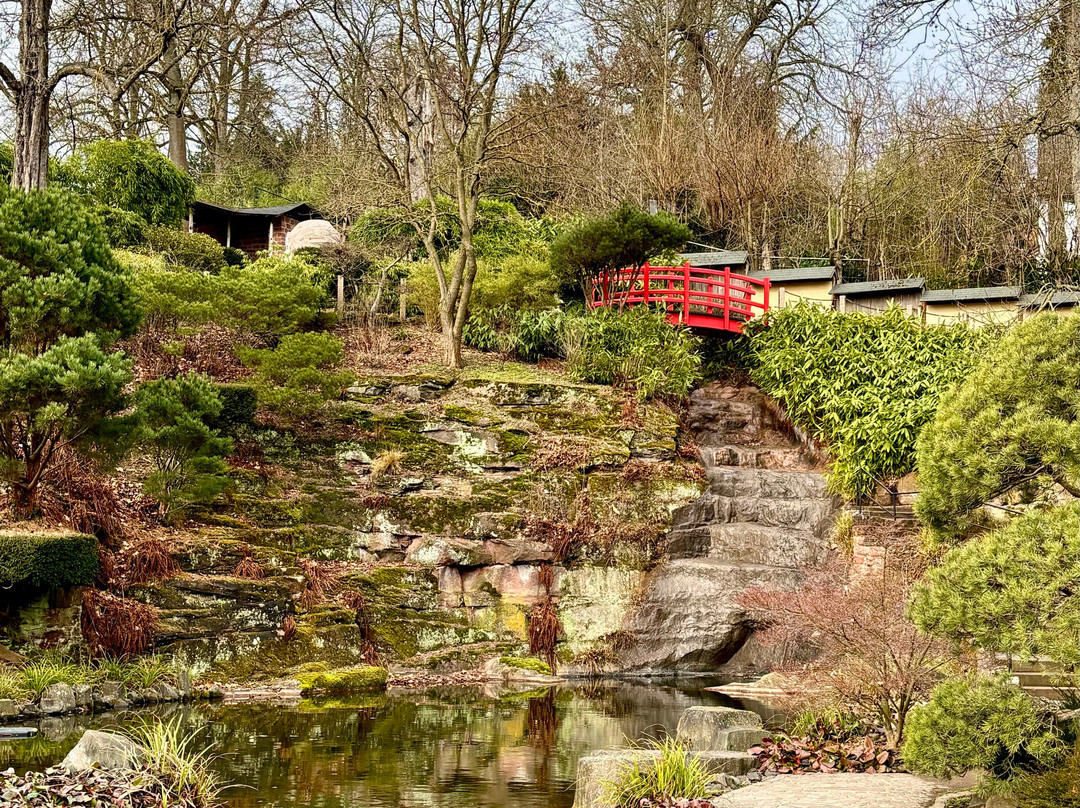 Japanischer Garten-凯撒斯劳滕必去景点