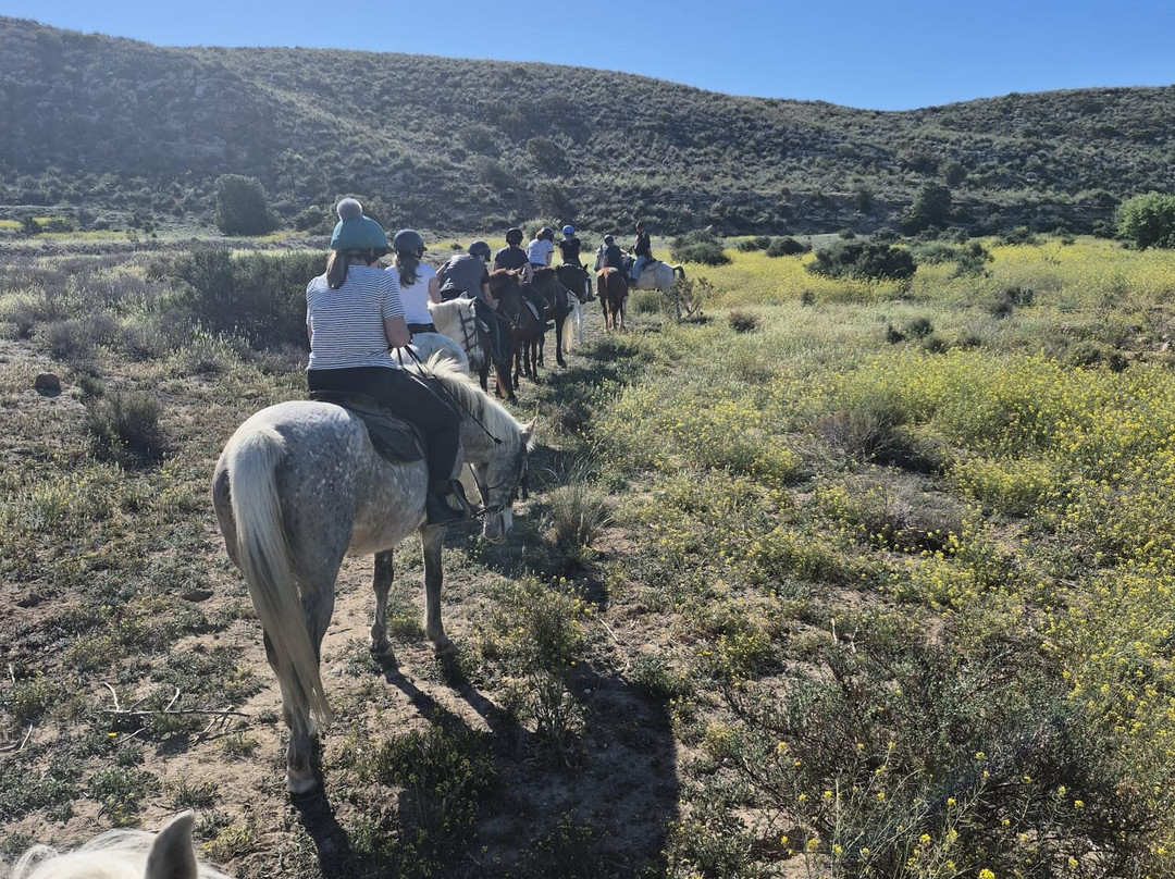 Horse Trekking in Adalusia-Vera必去景点