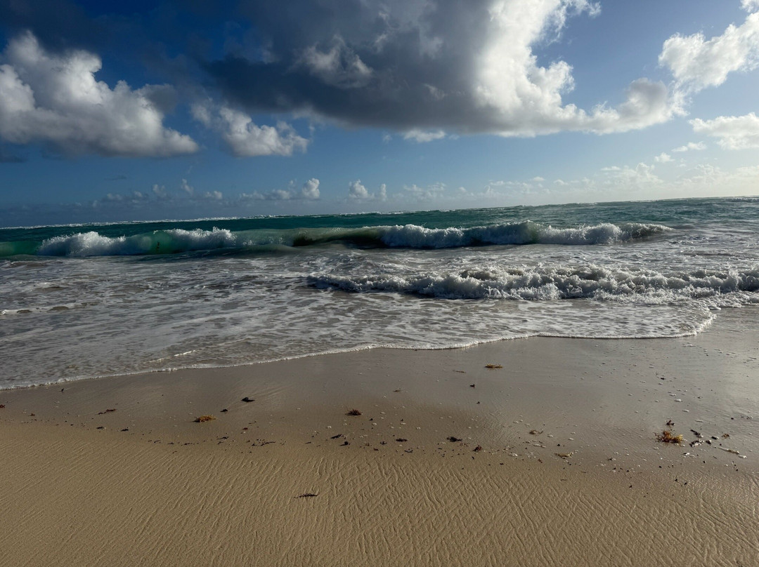Arena Gorda Beach-蓬塔卡纳必去景点