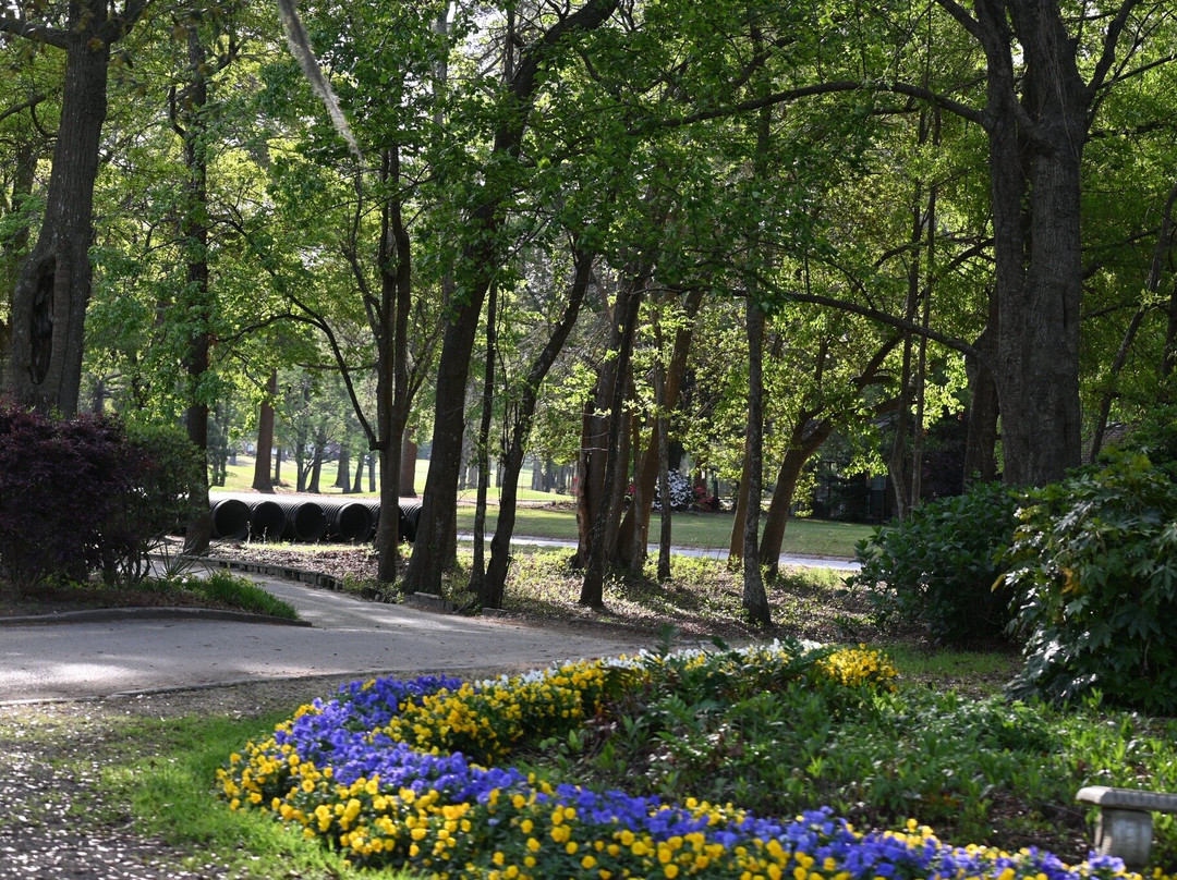 Long Bay Golf Club-Longs必去景点