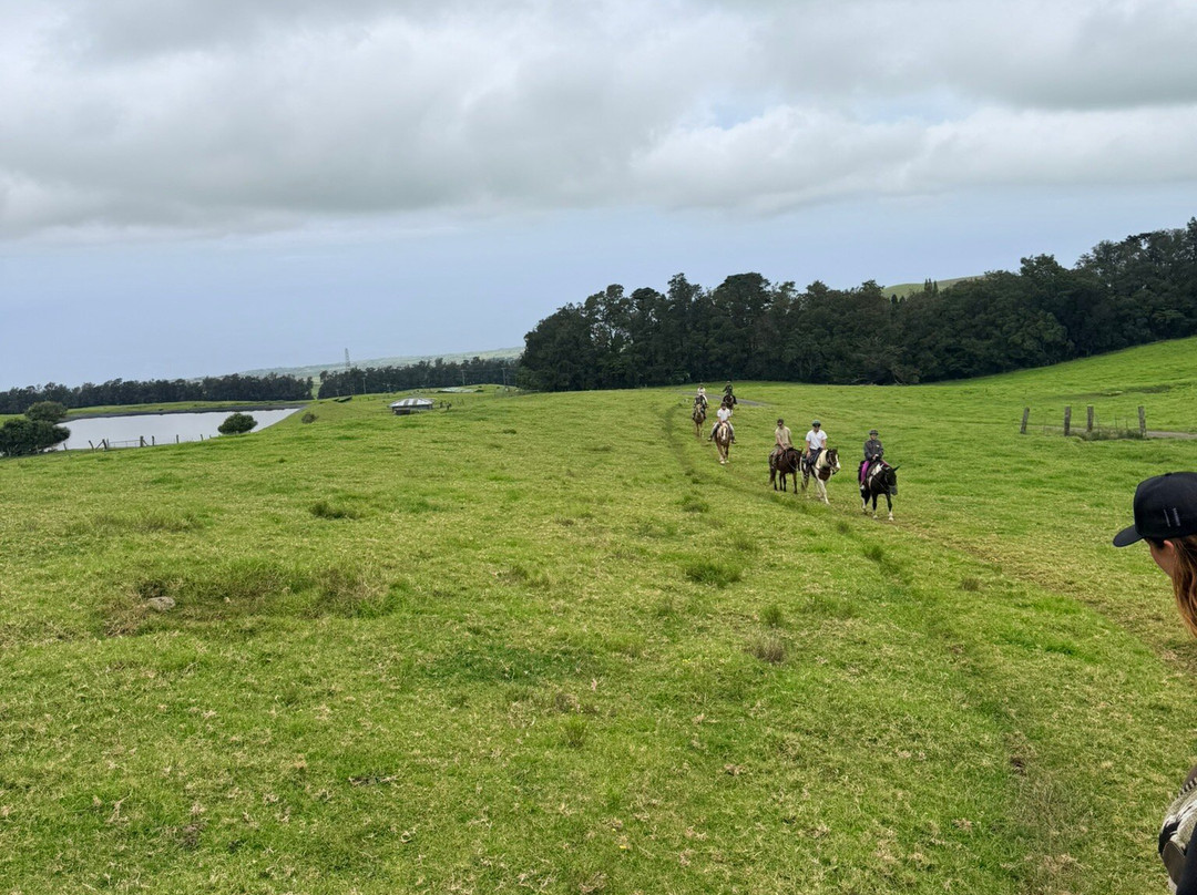Na'alapa Stables - Kahua Ranch-卡慕也拉必去景点