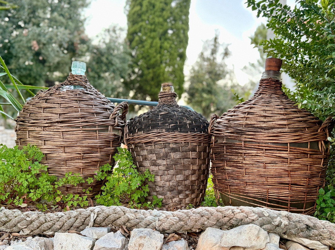 Explorer Family Boat-科尔丘拉岛必去景点