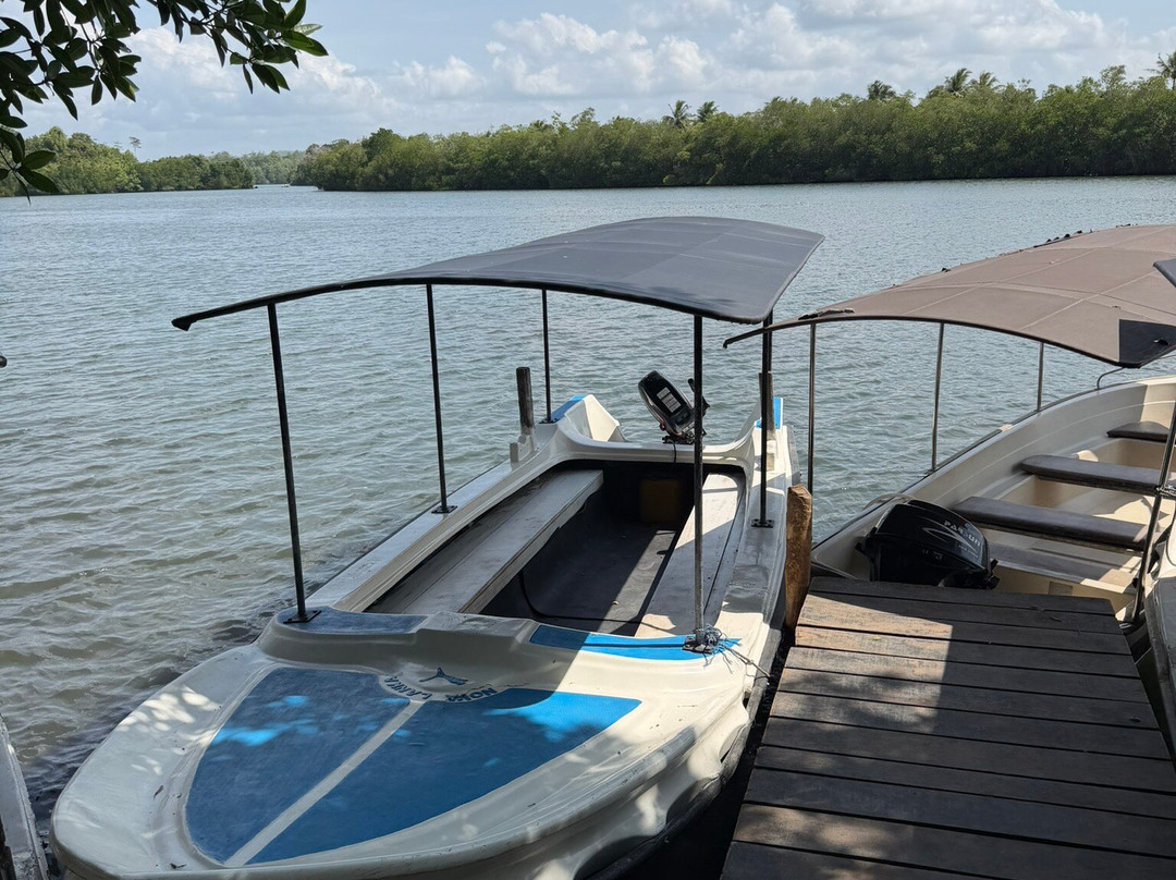Koggala Lake Boat Safari & Kayak Adventure with Malish-克拉必去景点