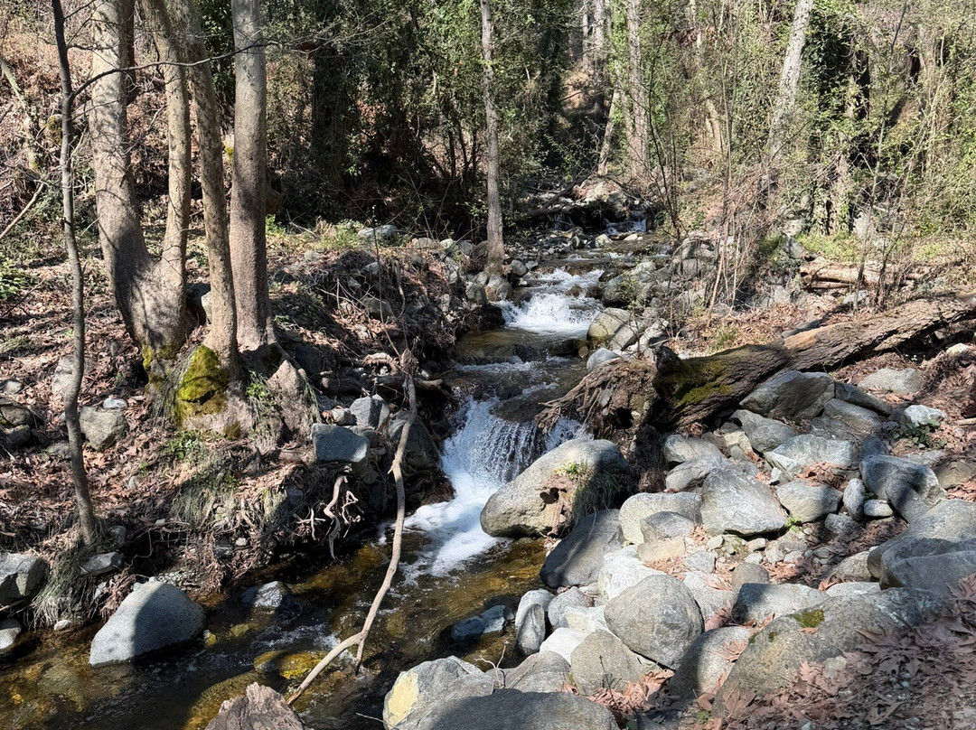 Millomeris Waterfall-帕拉翠斯必去景点