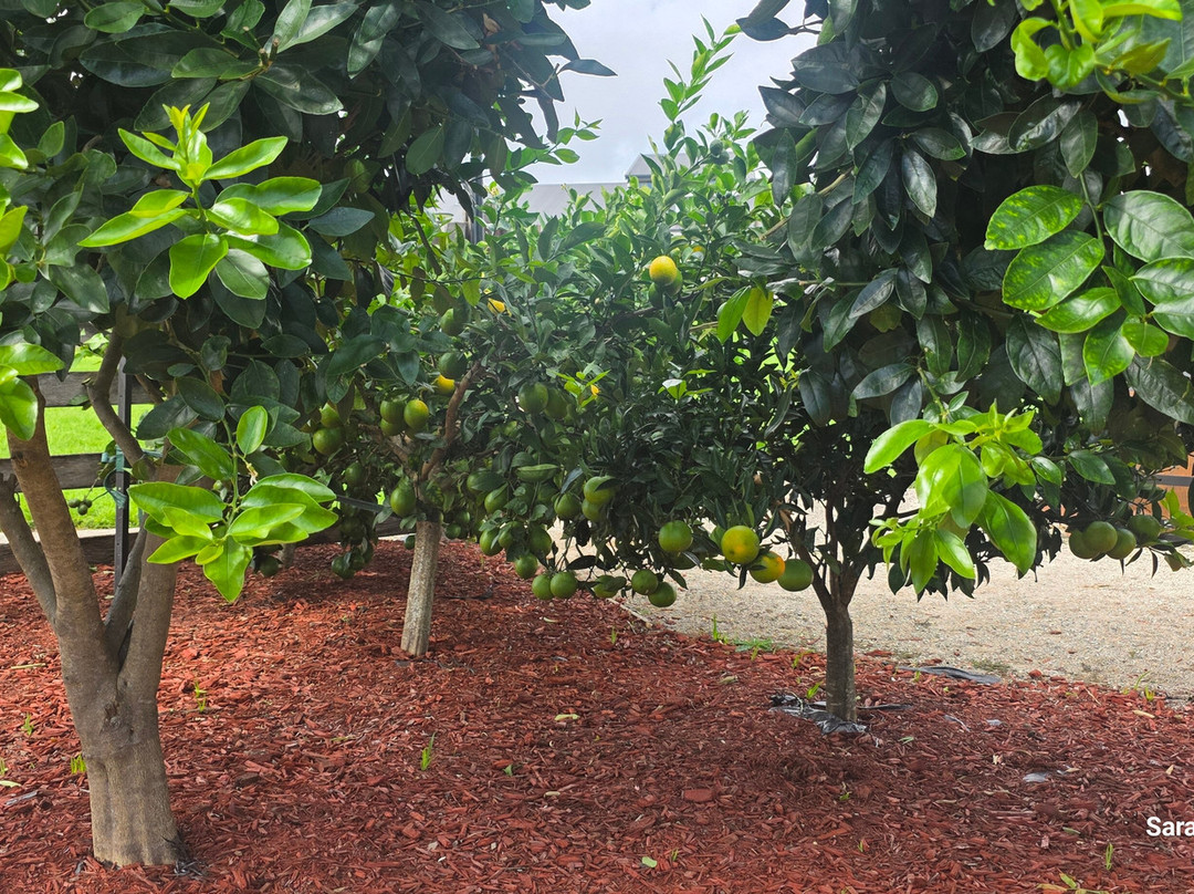 比奇蒙特庄园主图