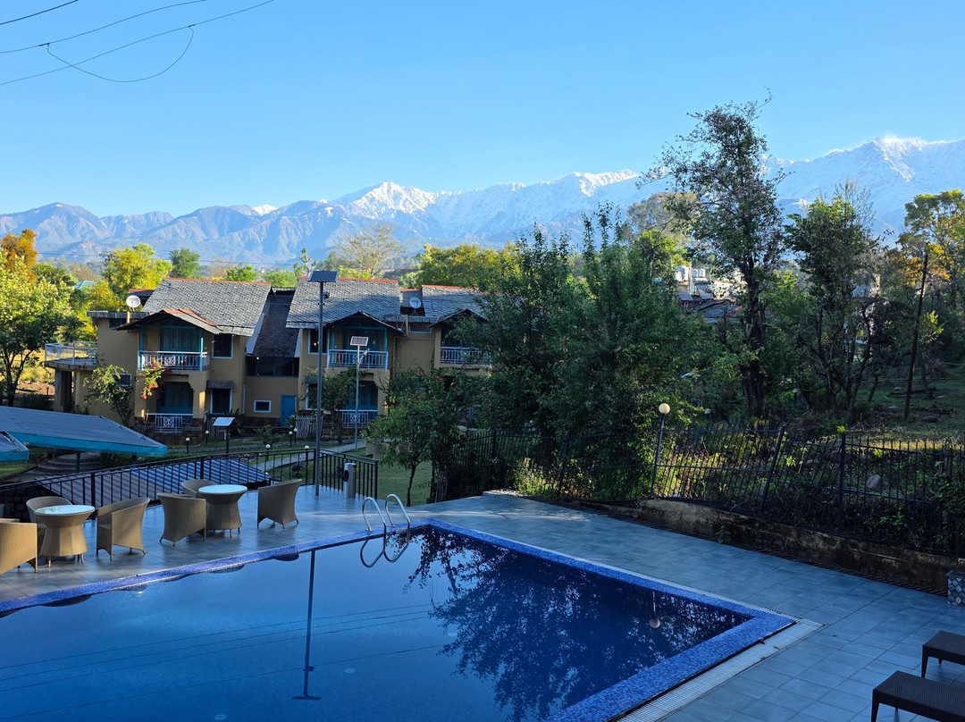 Tree of Life Birdsong Chalets主图