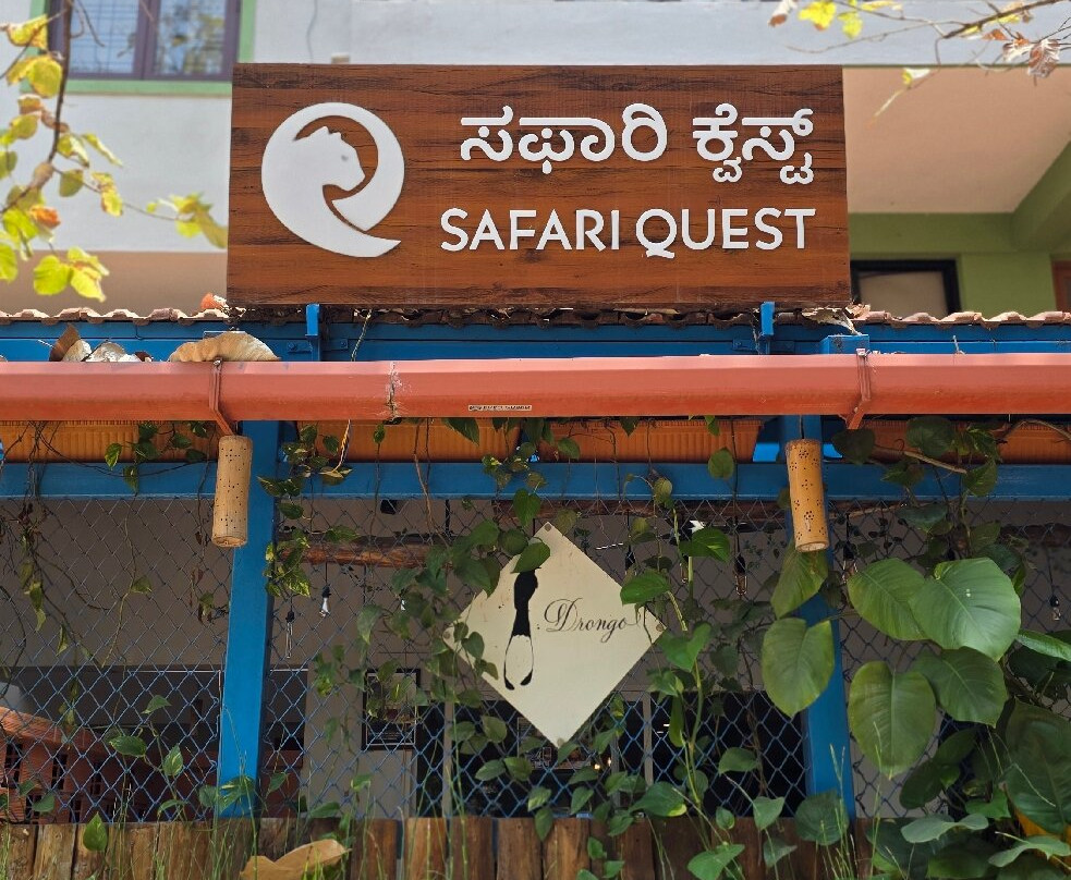 Safari Quest主图