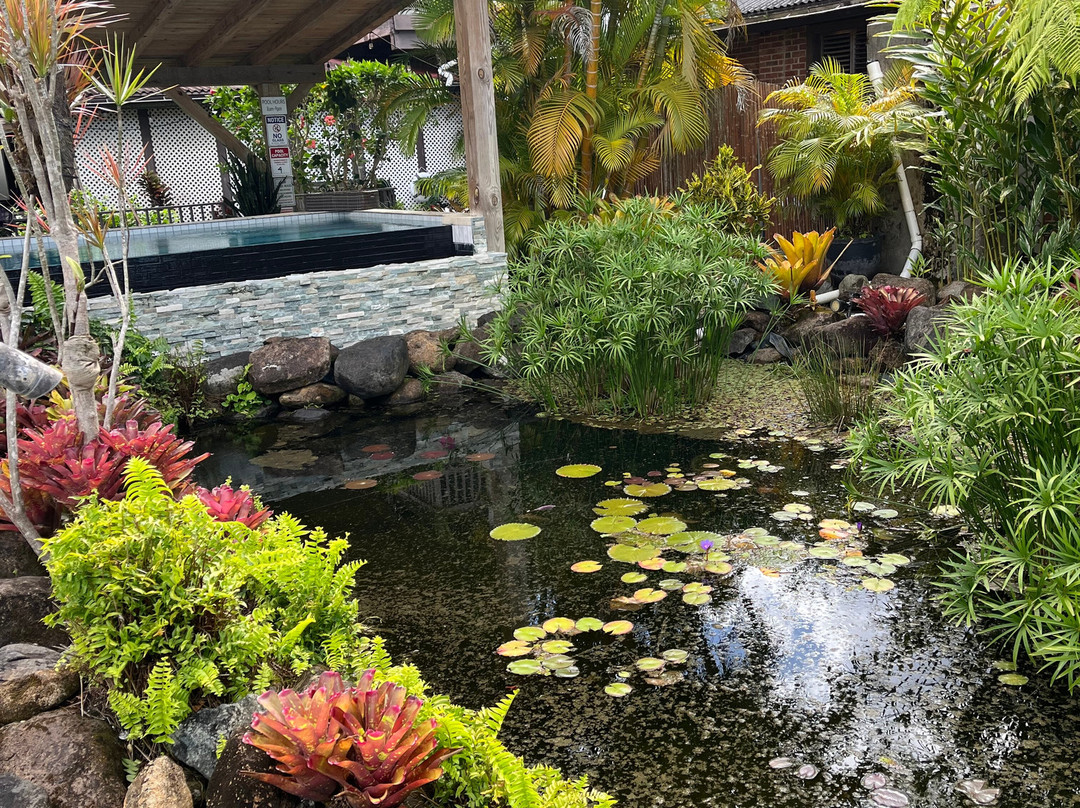EL Yunque Rainforest Inn主图