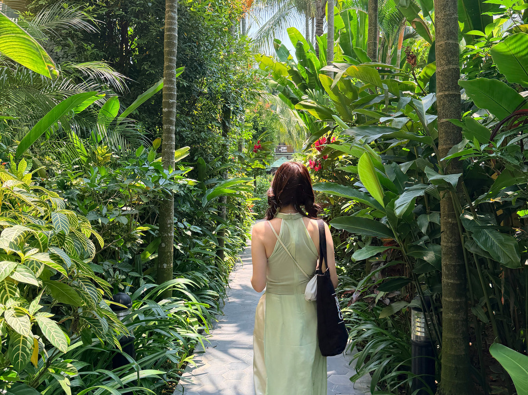 会安拉西埃斯特Spa度假村主图