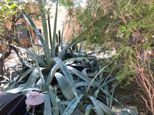 好房子旅馆-旅行者