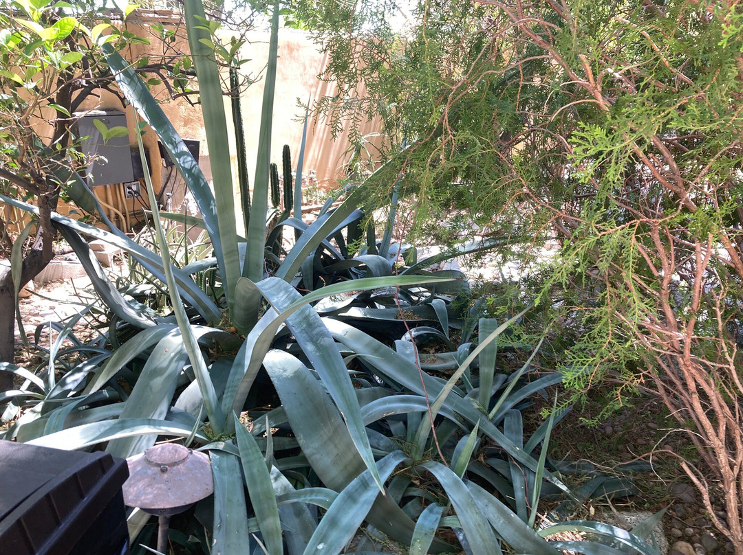 好房子旅馆主图