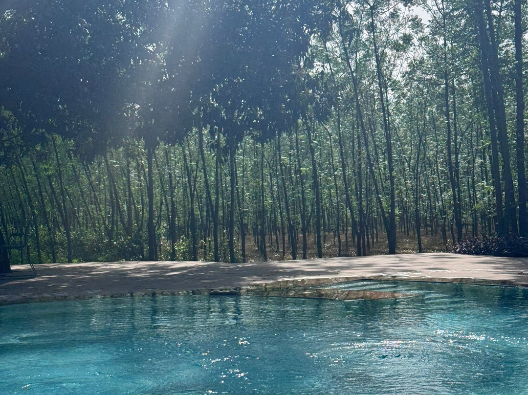 Aalia丛林班达再次主图