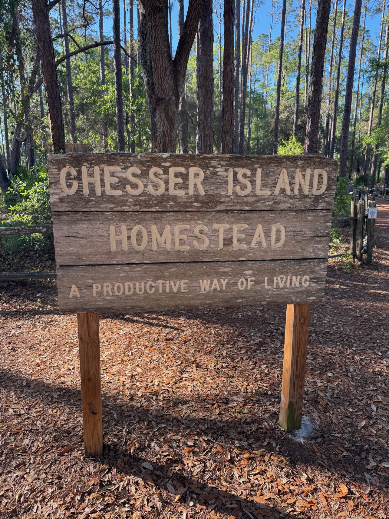 Inn At Folkston-旅行者