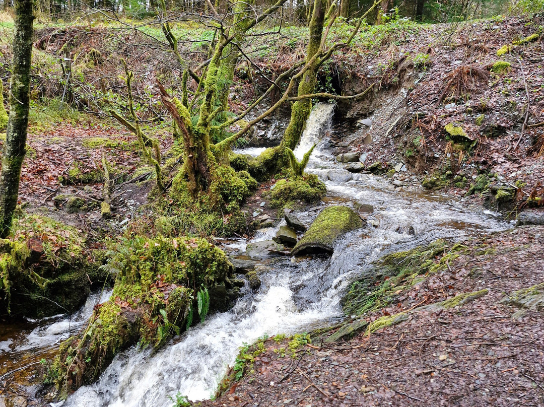 The Bishop's Glen-达农必去景点